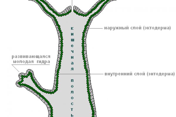 Кракен маркетплейс в москве