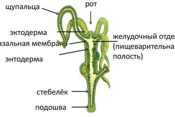 Кракен макет супернет