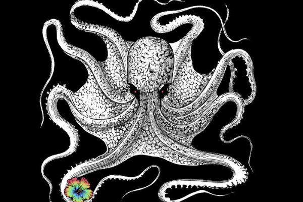 Kraken link