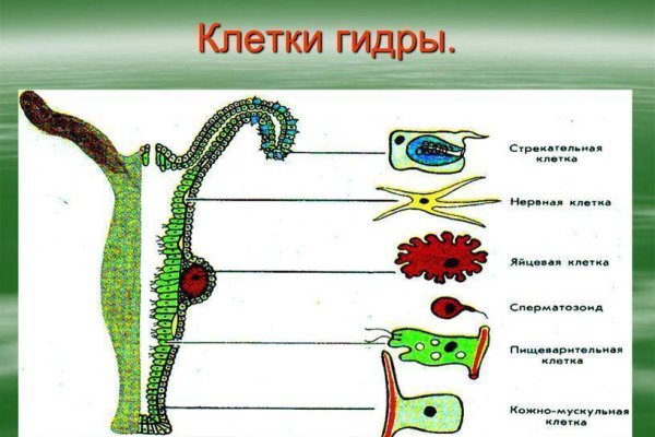 Кракен сайт 2krnk