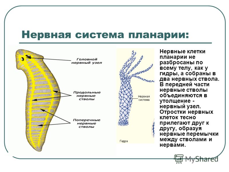 Переход на кракен