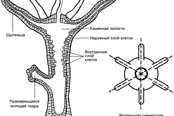 Войти супернет