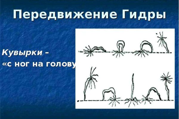Адрес сайта кракен