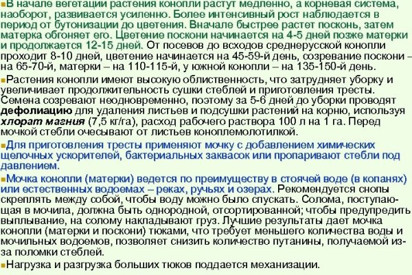 Рабочая ссылка на кракен