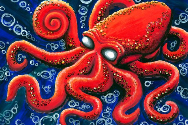 Kraken marketplace
