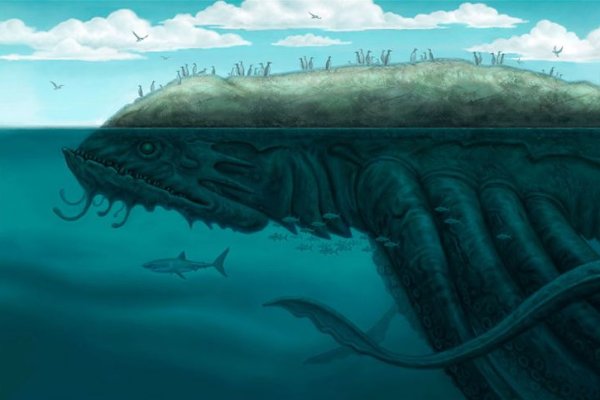 Kraken clear ссылка