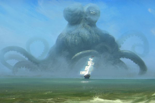 Kraken whitenet ссылка тор