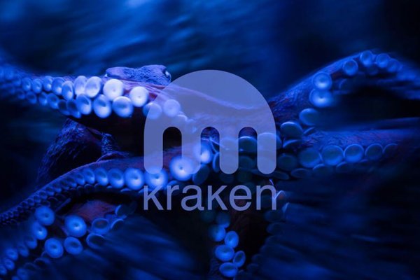 Kraken whitenet market зеркало