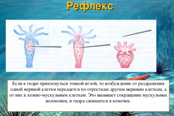 При входе на кракен пишет вы забанены