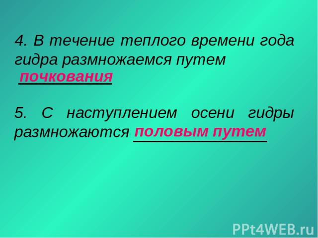 Кракен зайти зеркало